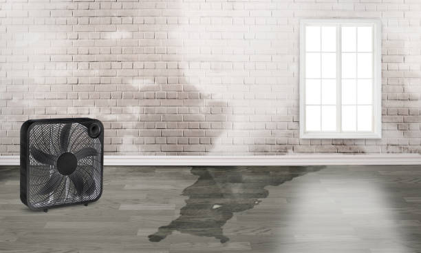 Best Basement water damage restoration  in East Marion, NY