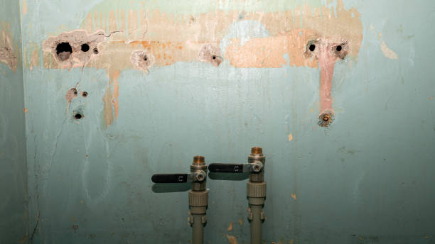 Best Flood damage cleanup  in East Marion, NY