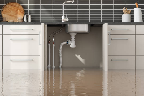 Best Water damage restoration near me  in East Marion, NY