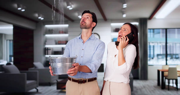Best Water damage contractors near me  in East Marion, NY